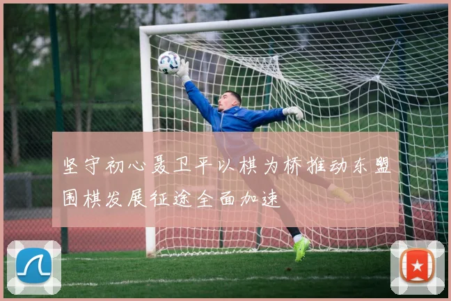 坚守初心聂卫平以棋为桥推动东盟围棋发展征途全面加速