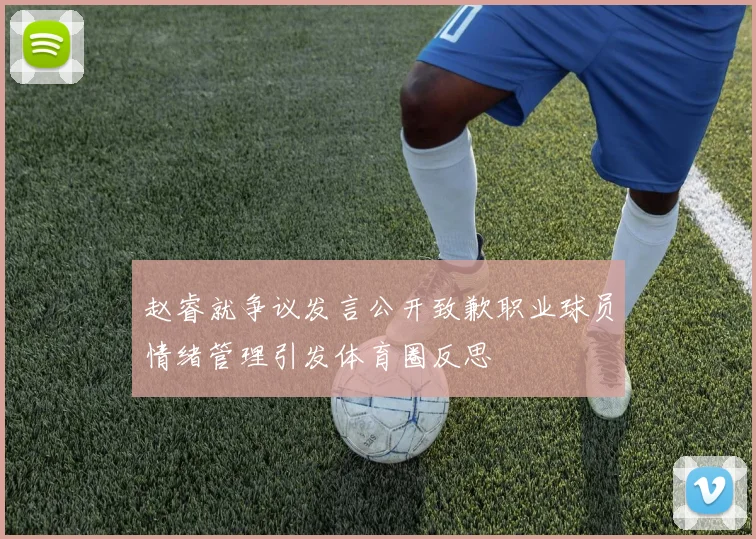 赵睿就争议发言公开致歉职业球员情绪管理引发体育圈反思