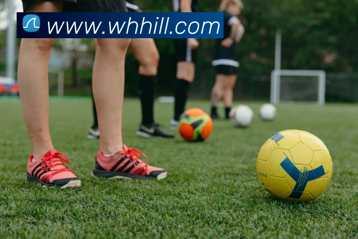 威廉希尔体育发展历程