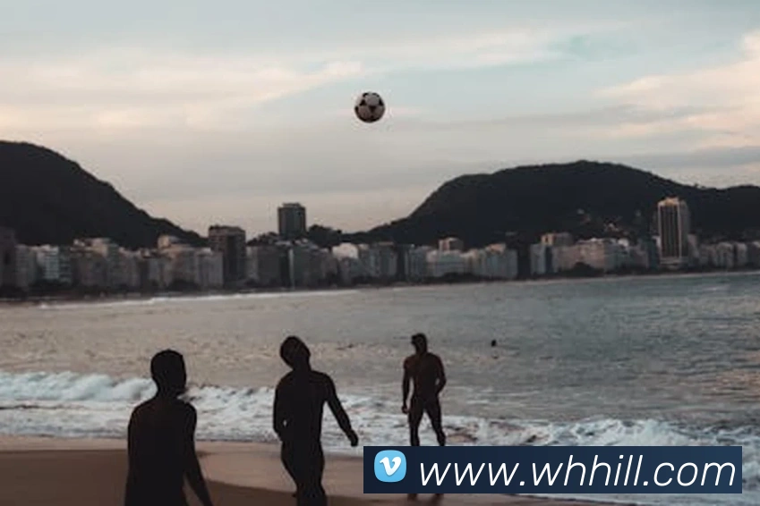 威廉希尔体育APP 封面图