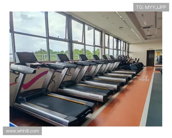 健身器材业务如何高效开展促进体育运动普及的方法 健身器材业务如何高效开展促进体育运动普及的方法